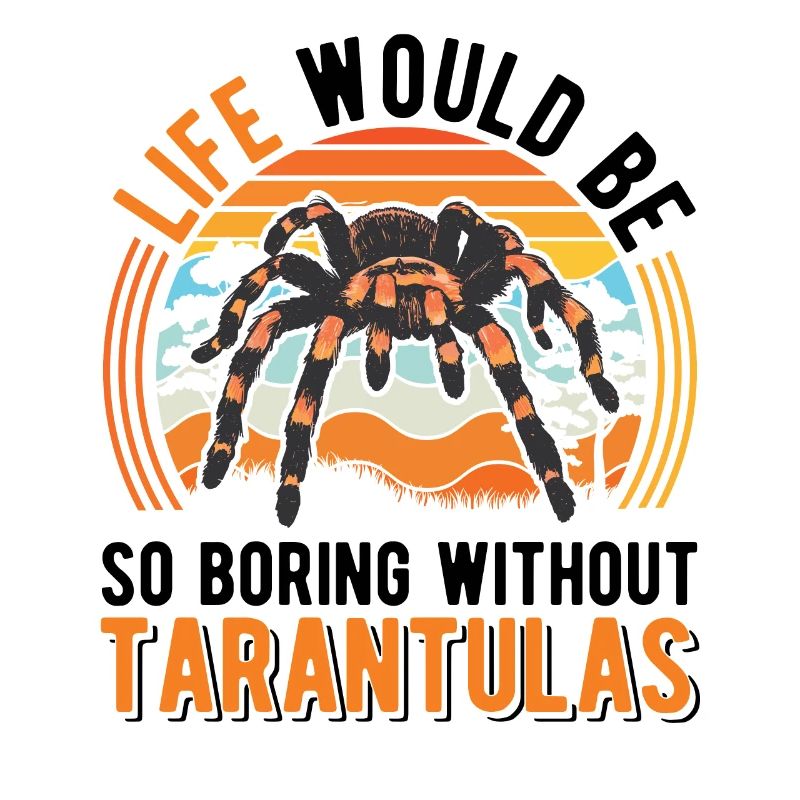 Tarentule Araignée Tarentule