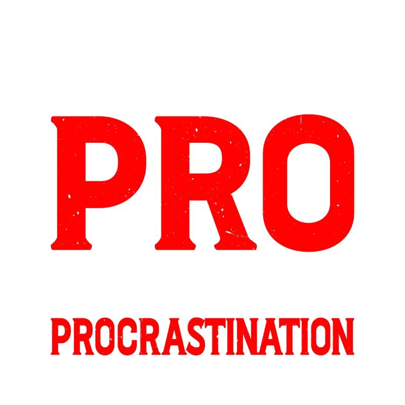 Je mets le pro dans la procrastination 13