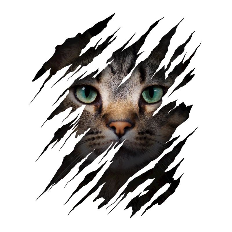 Cat with scratch - Cat face Scratch Cat