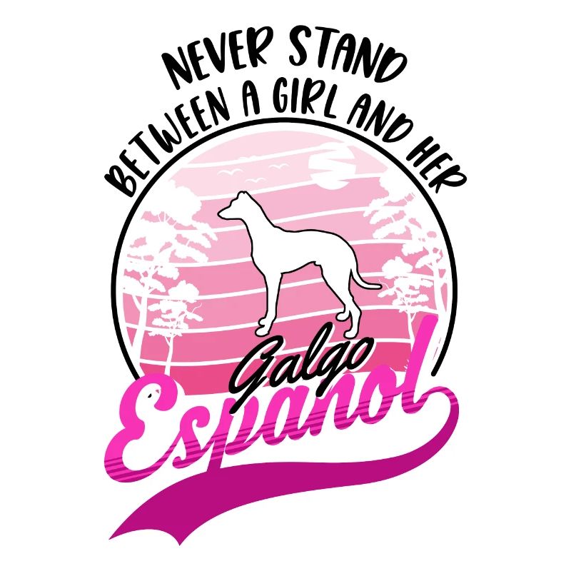 Galgo Espanol Mädchen Spanischer Windhund Galgo