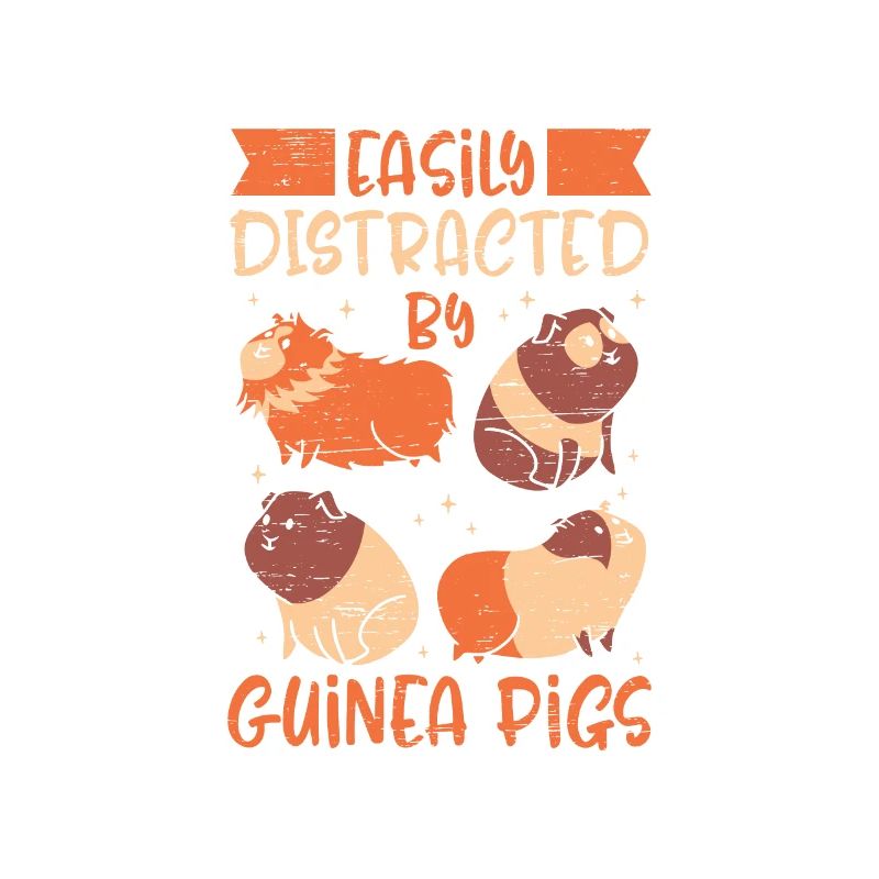 Facilement distrait par les cochons d’Inde