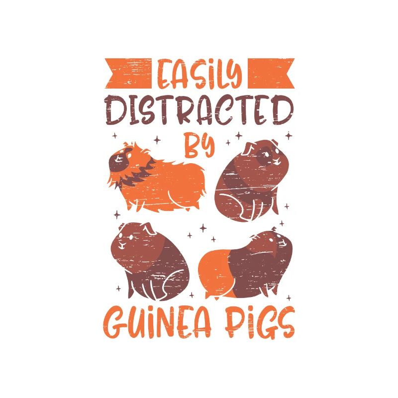 Facilement distrait par les cochons d’Inde