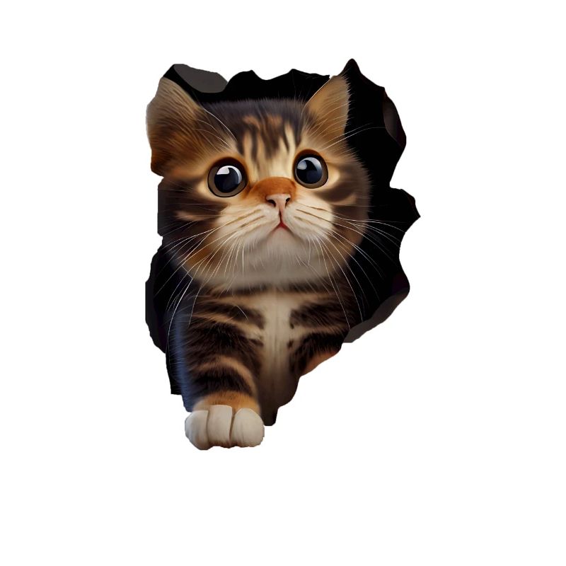 Chat mignon Chaton Craqué Chat Amants Chats Chats