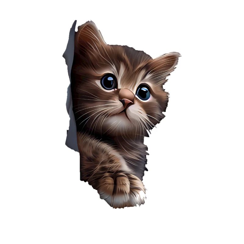 Chat mignon Chaton Craqué Chat Amants Chats Chats