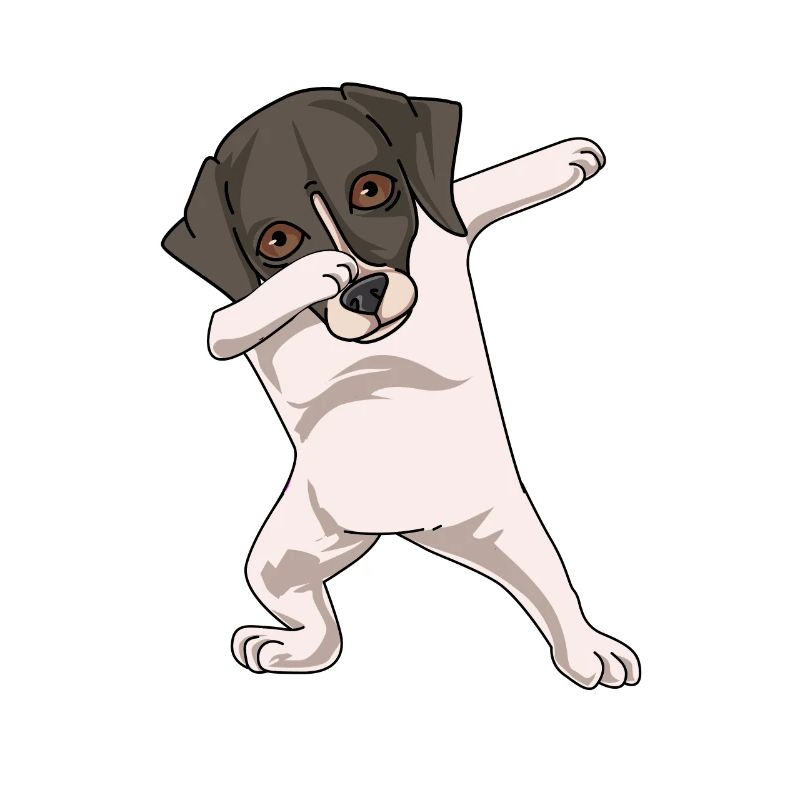 Whippet