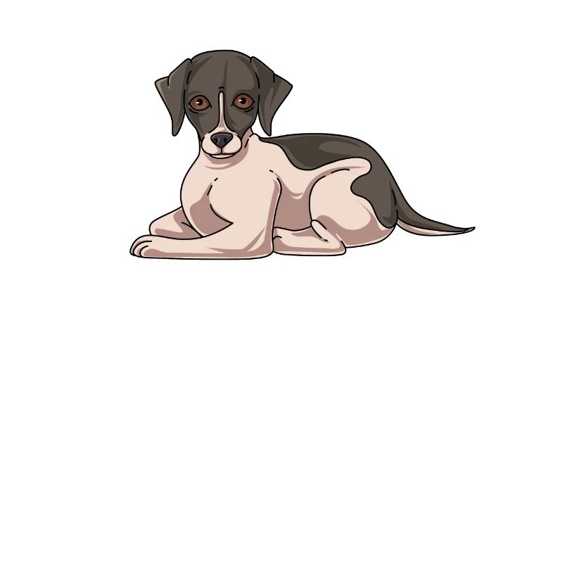 Whippet