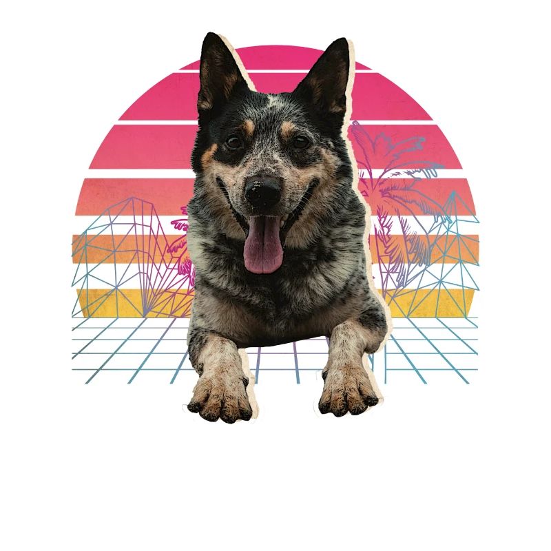 Australian Cattle Dog