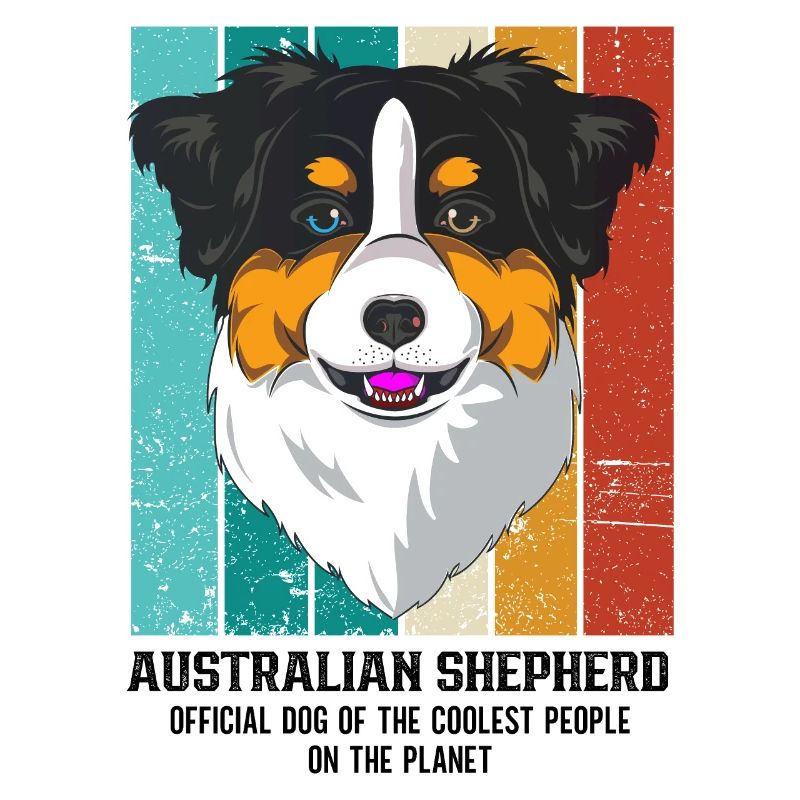 Australian Shepherd