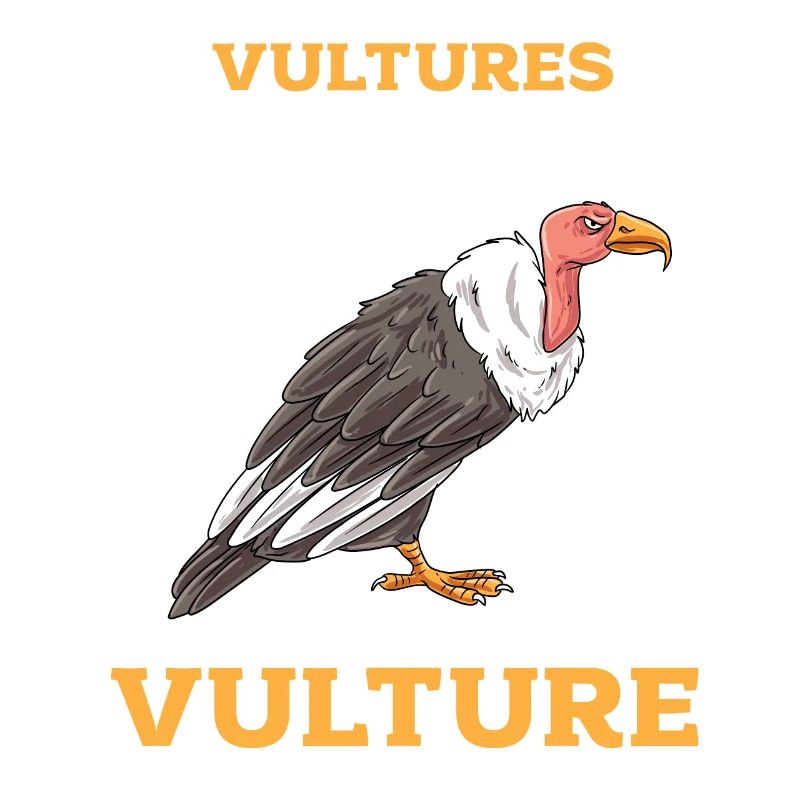 Vulture