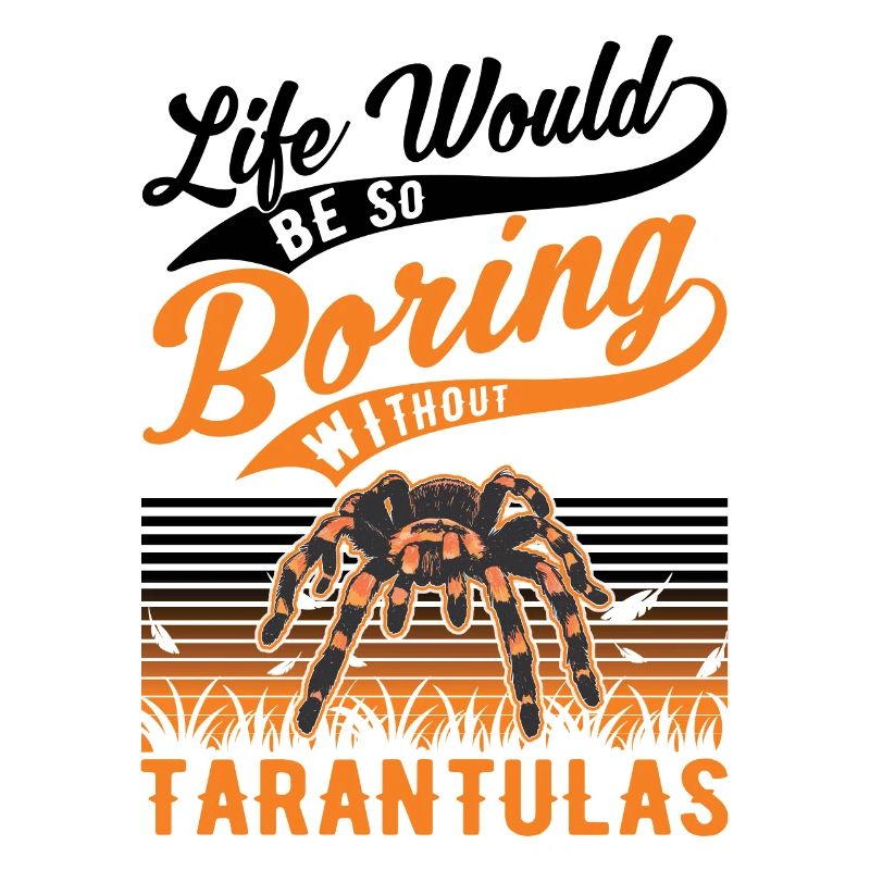 Tarantula Gift Spider Tarantula