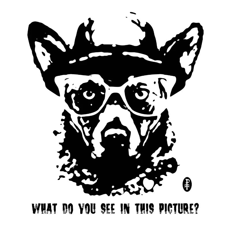 Rorschach analysis and a funny herding dog