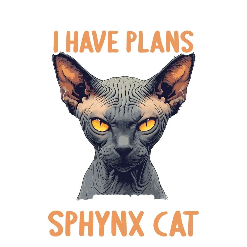 Chaton Sphynx Chat Sphynx