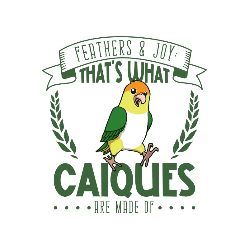 Feathers and Joy - Perroquet à ventre blanc