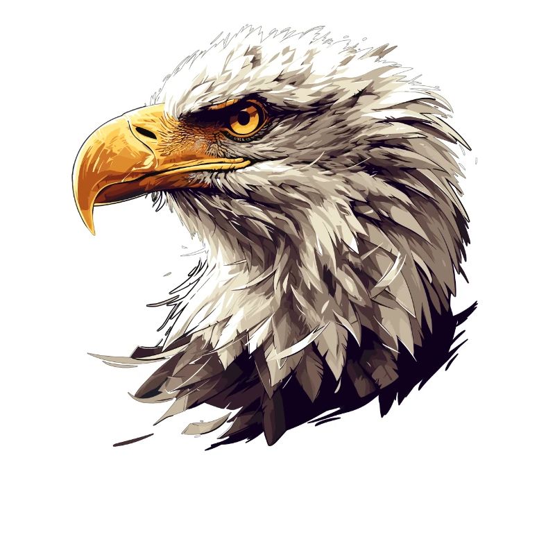 Bald Eagle Weißkopfseeadler