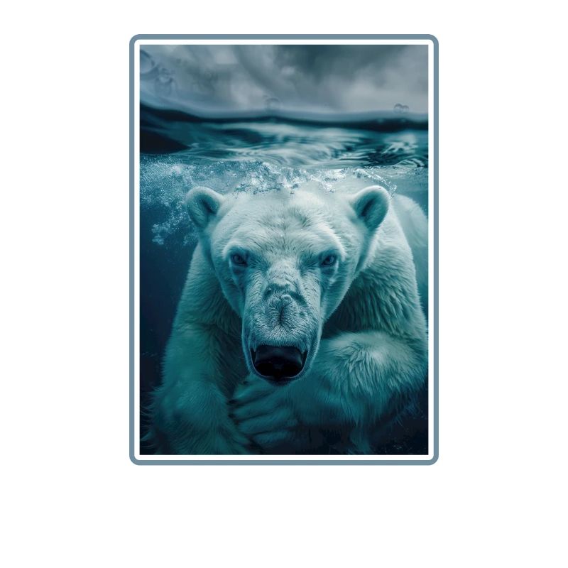 Polar Bear Eisbären Eisbär