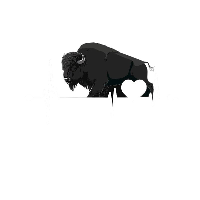 Bison