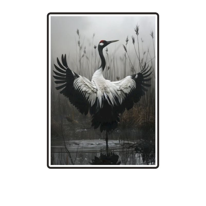 Cranes Crane
