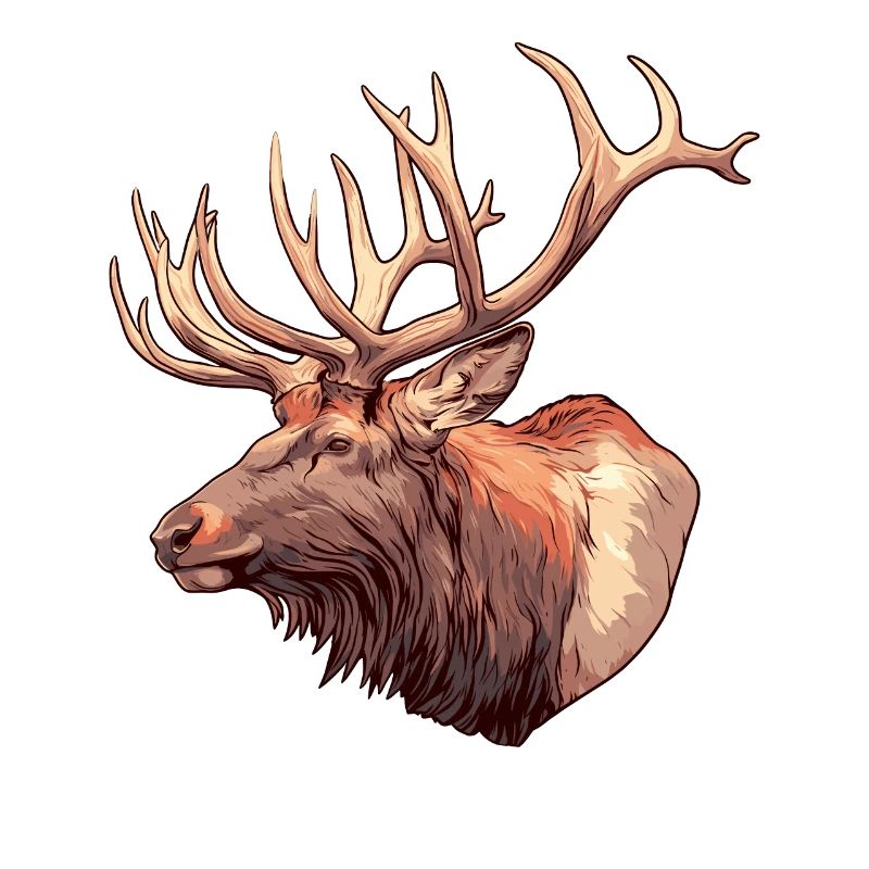 Moose Moose