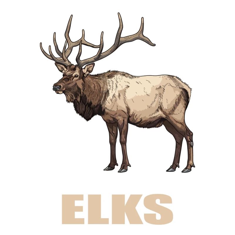 Moose Moose