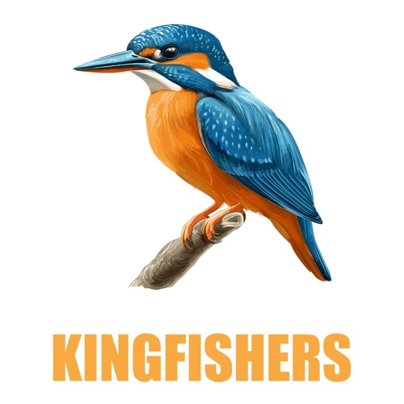 Martin-pêcheur Martin-pêcheur