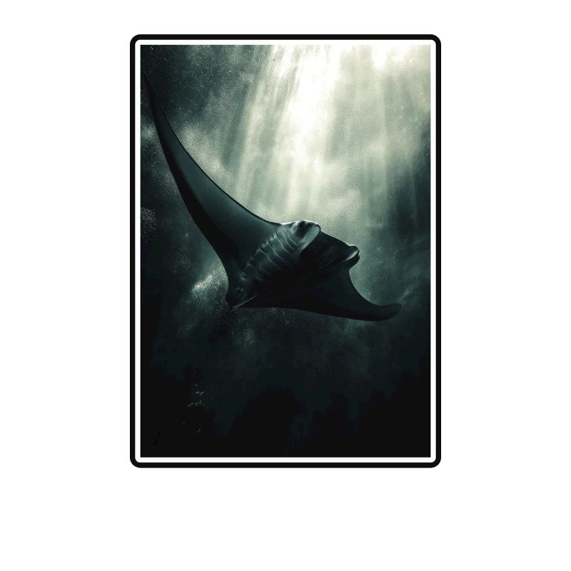 Mantas Manta Rochen