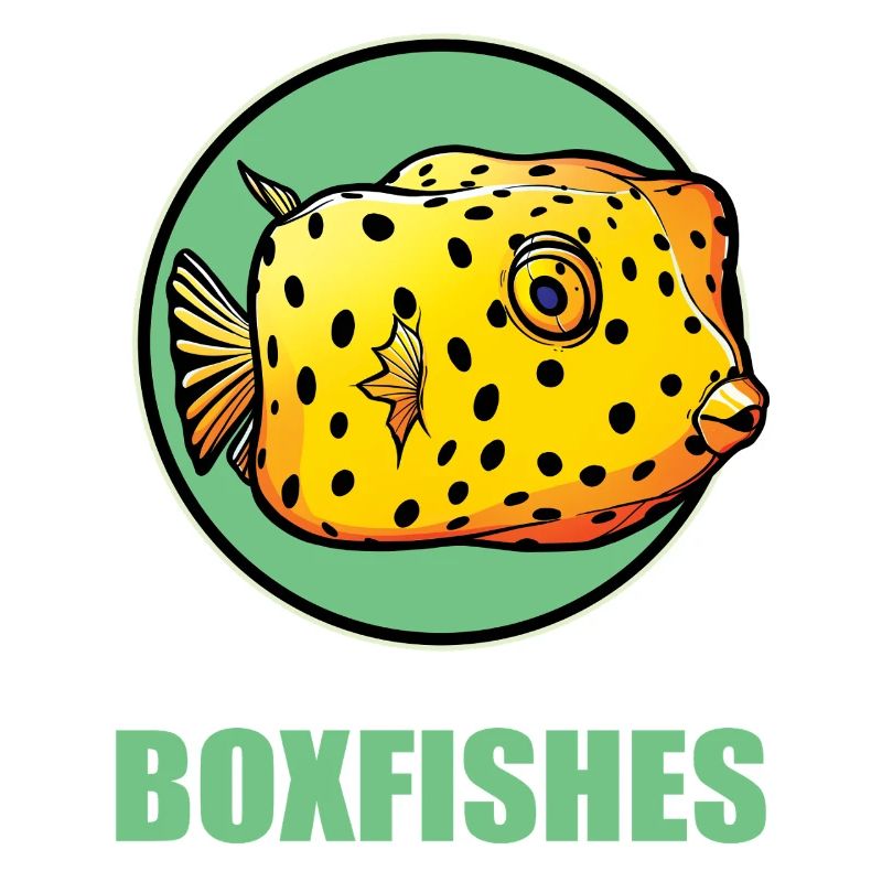 Poisson-coffre Poisson-coffre