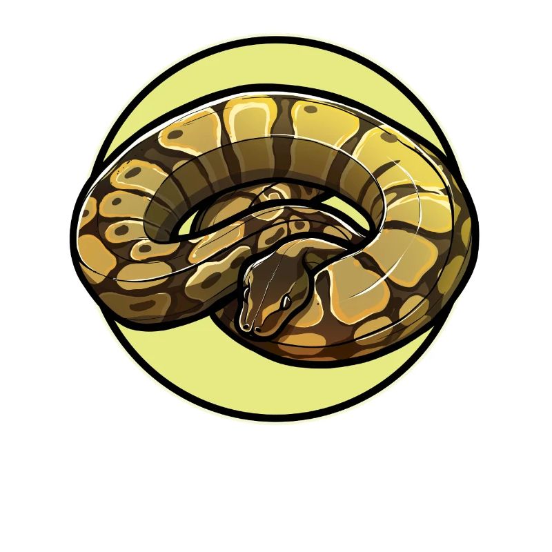 Ball Python King Python King Python