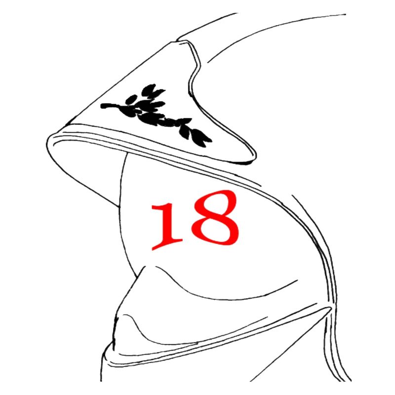 Kopfhörer 18