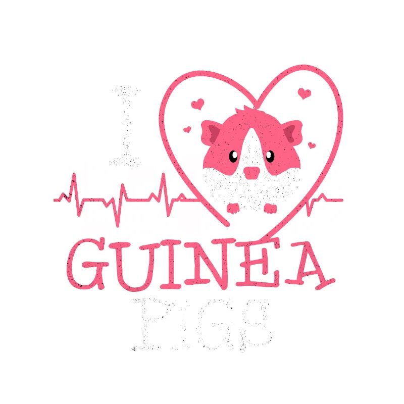 Guinea pig