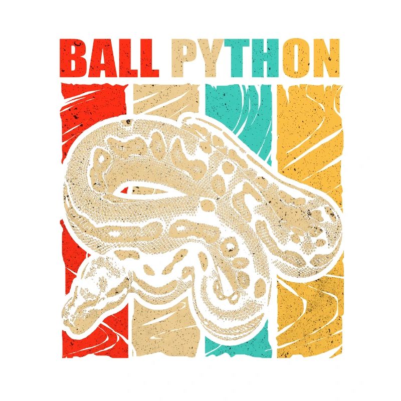 Python