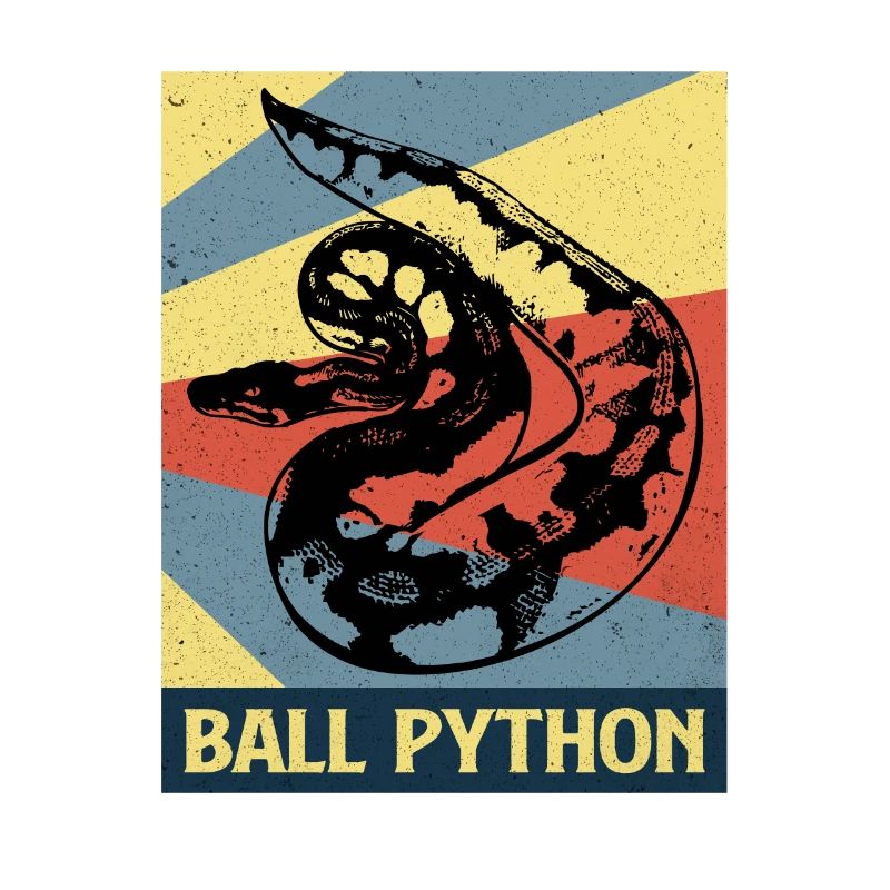 Python