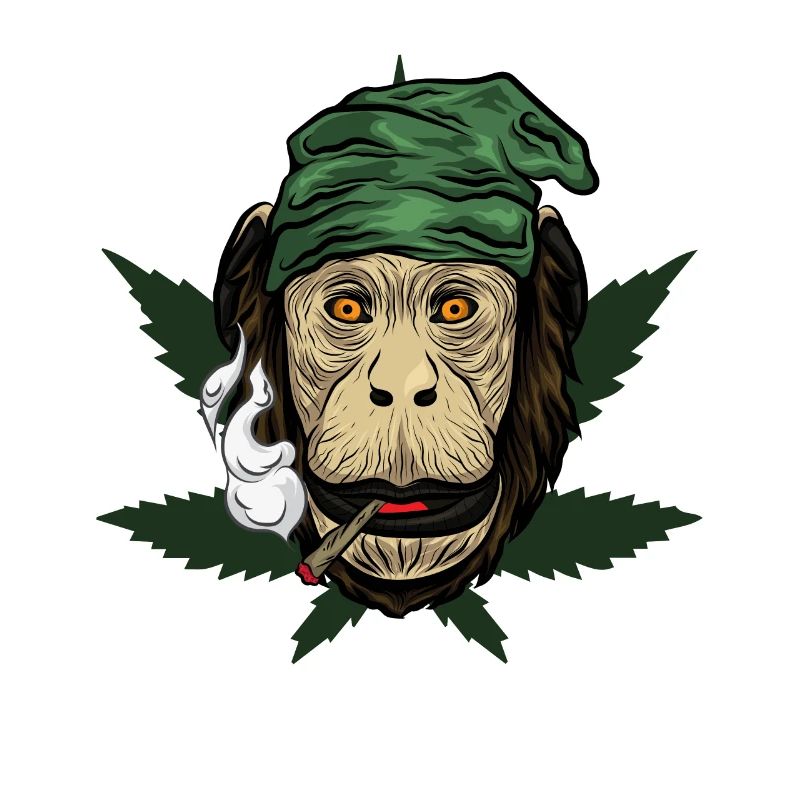 Kiffender Affe Mit Joint