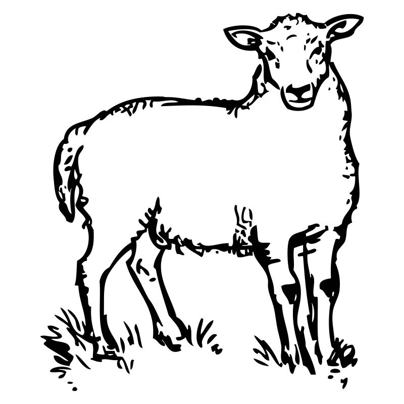 mouton