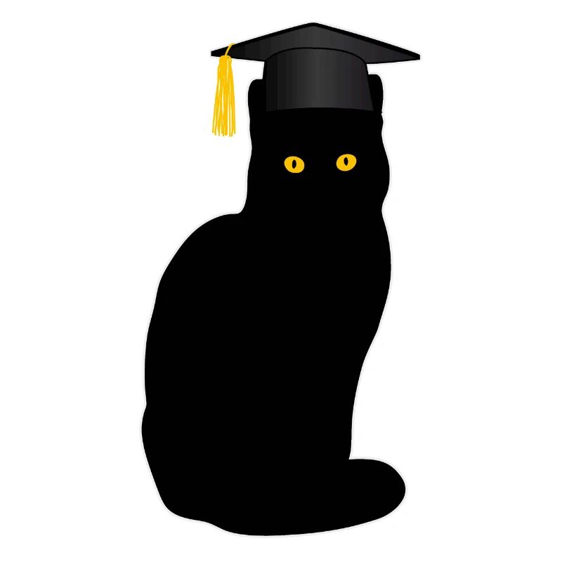 Bachelor Master's Degree Funny Cat