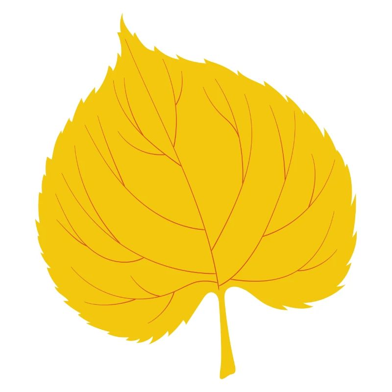 Linde Leaf