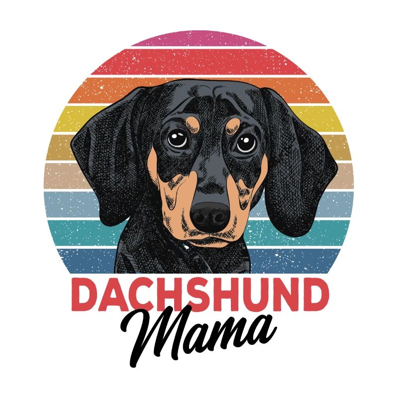 dachshund