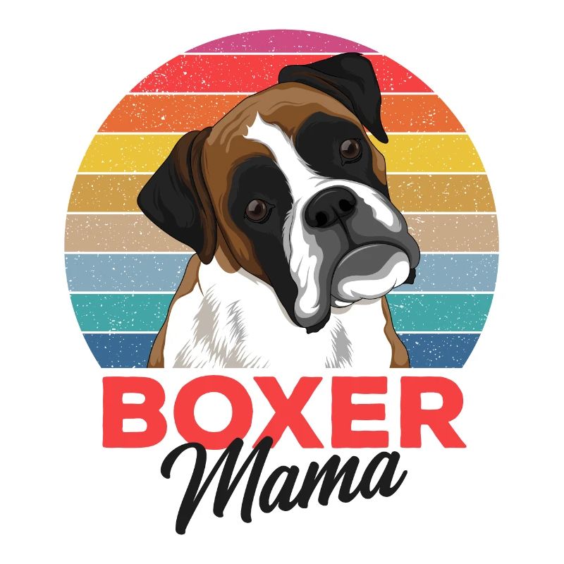 Boxer dog