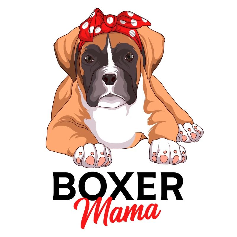 Boxer dog