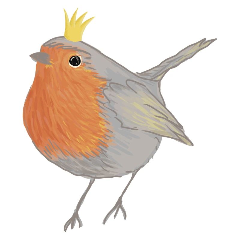 Princesse Robin