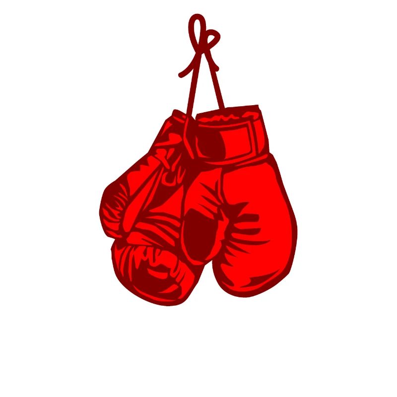 Boxe Boxer Gants De Boxe Cadeau