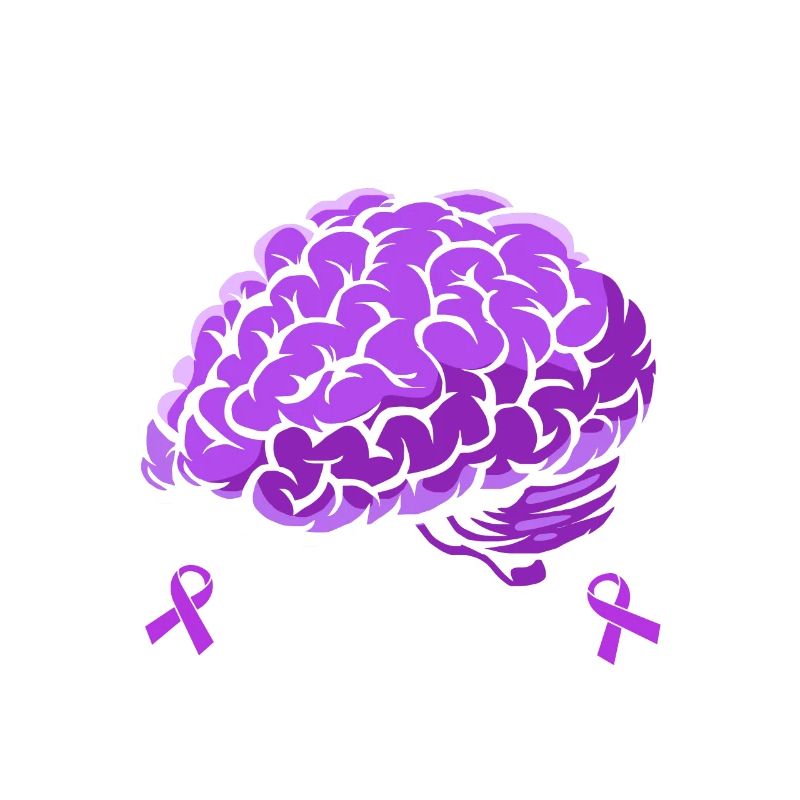 Epilepsy Brain