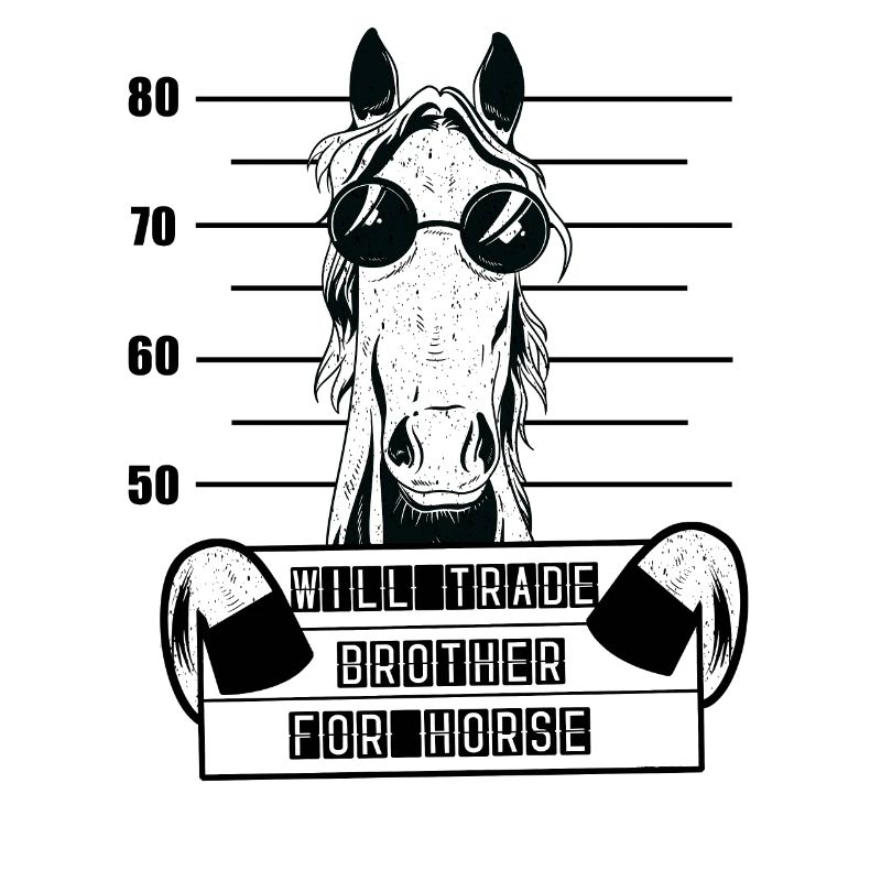 Pferd Reiten Pferde Mädchen Steckbrief Pferd