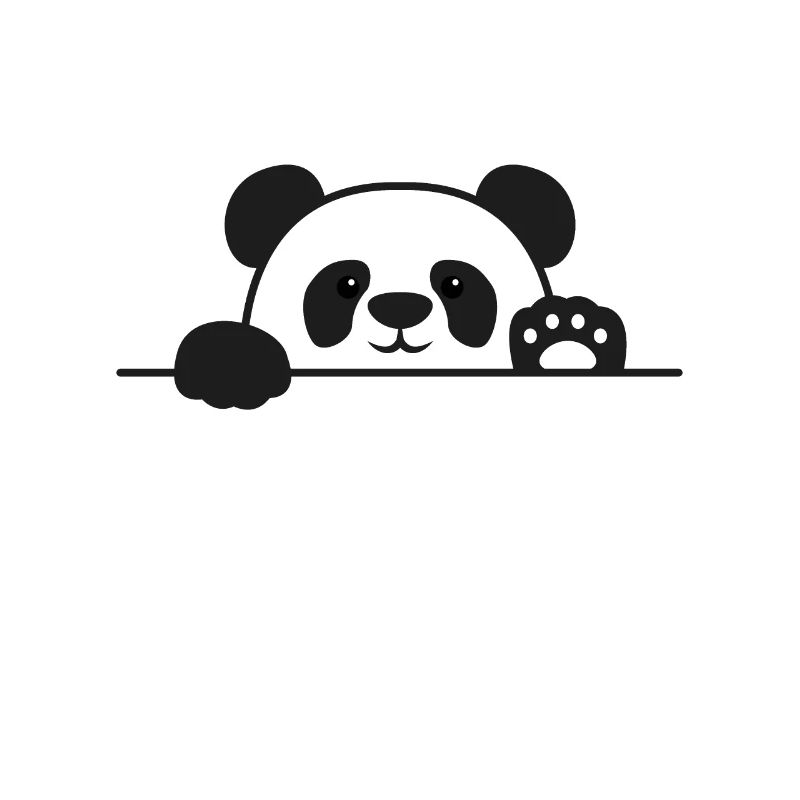 C'est Pas Des Cernes Citation Idée Cadeau Panda