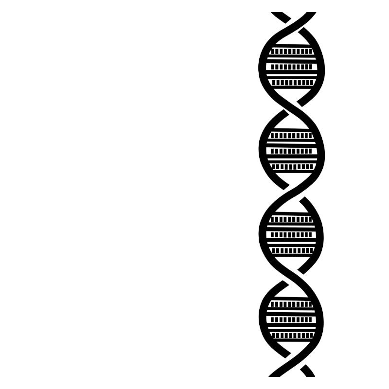 Black DNA harmonica for harmonica player