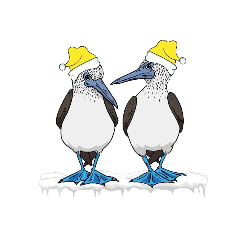 Seabirds Blue-footed