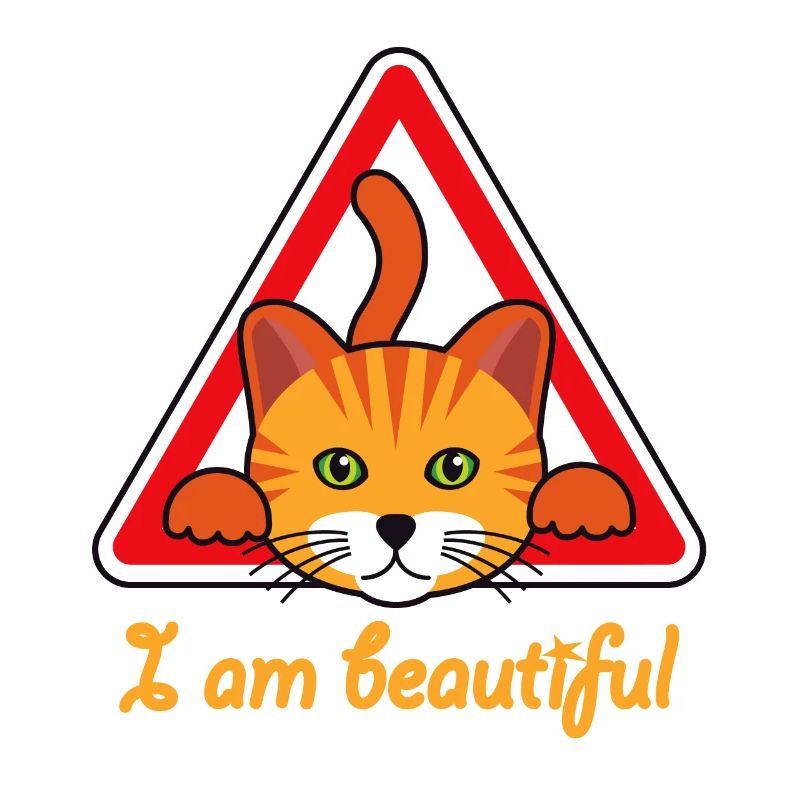 Katze - Ich bin eine wunderschöne Katze