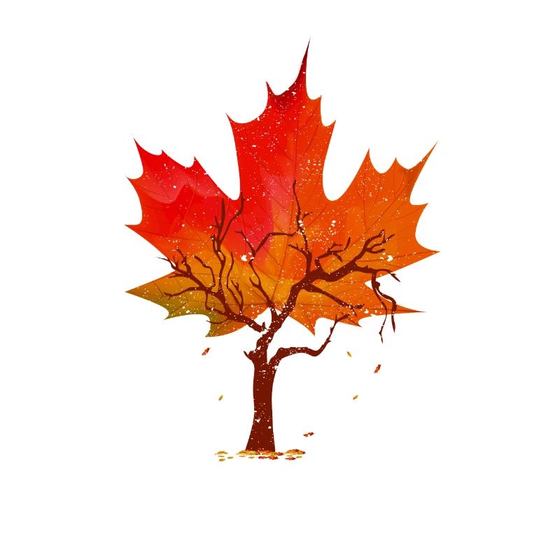 Maple Leaf Autumn Tree Red Yellow Orange Autumn Leaf