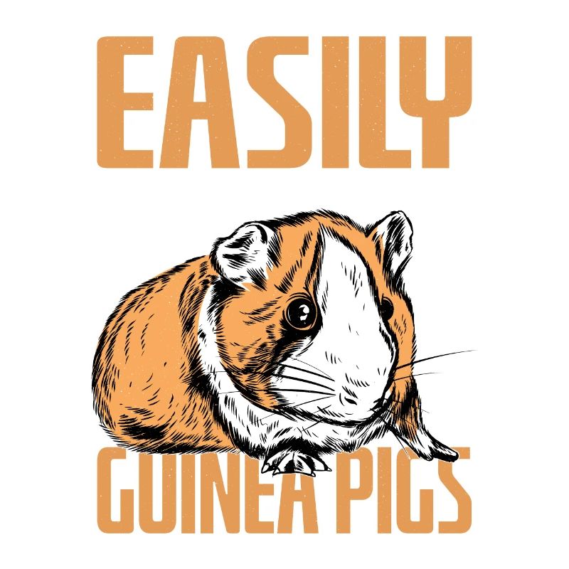 Facilement distrait par les cochons d’Inde rongeurs Cavy Lover