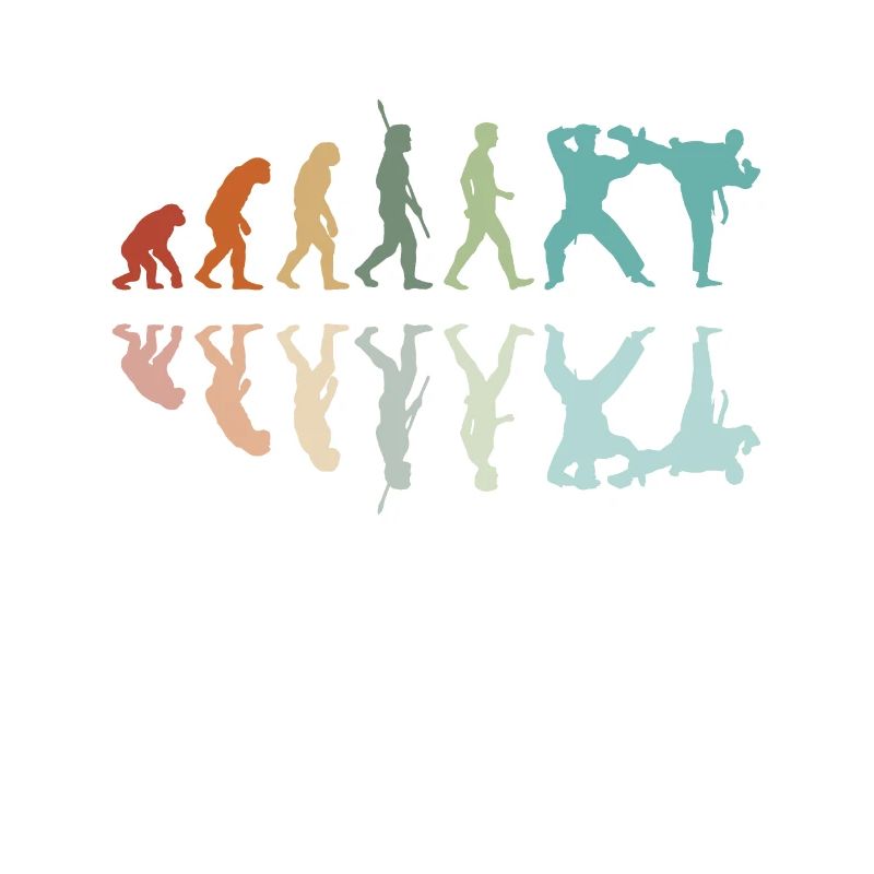 Évolution Karaté
