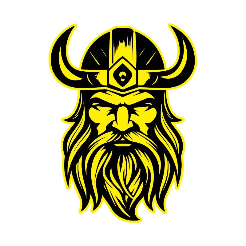 Viking Valhalla Warrior